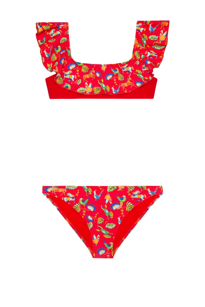 Desenli Volanlı Bikini Takımı